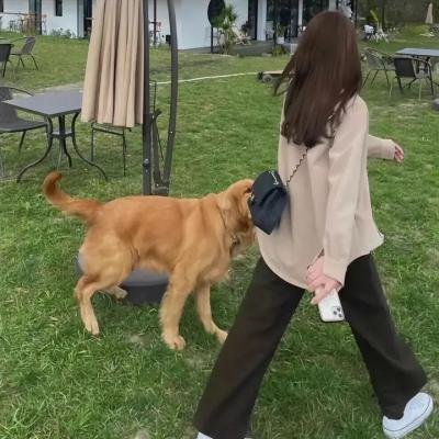 兰维尔的荒野求生